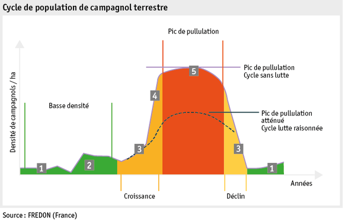 Zoom: ab20_grafik_politik_beratung_schermaus_f.png