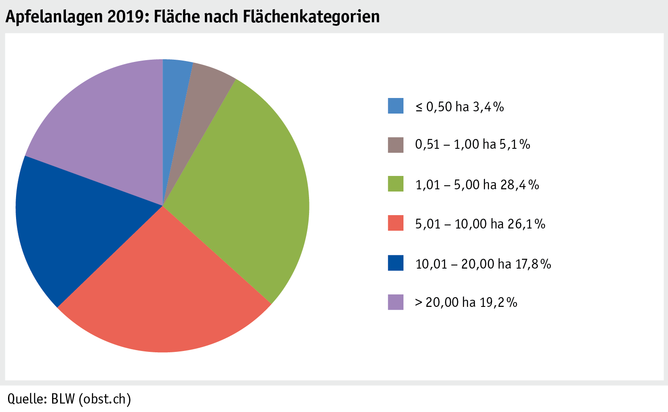 Zoom: ab20_produktion_pflanzli_produktion_grafik_obstanlagen_flaeche_flaechenkat_2019_d.png