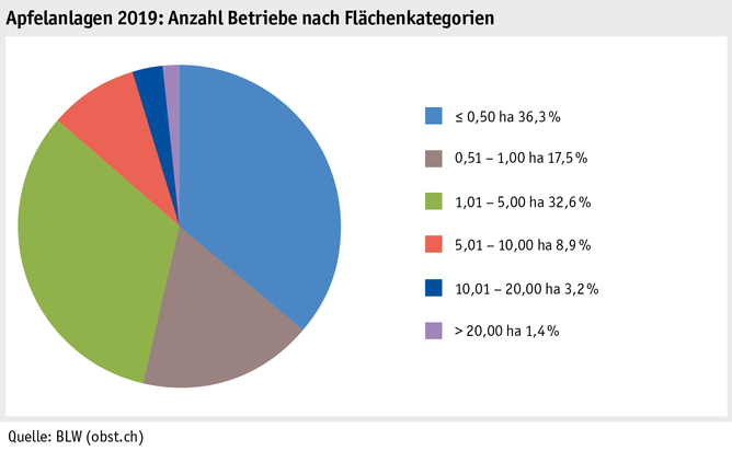 Zoom: ab20_produktion_pflanzli_produktion_grafik_apfelanlagen_betriebe_flaechenkat_2019_d.png