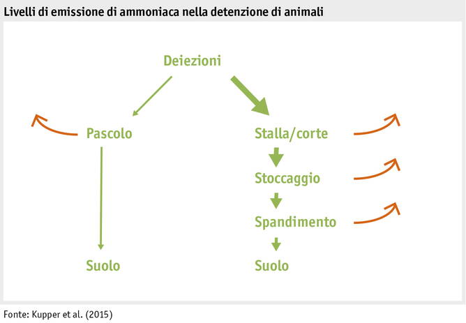 Zoom: emissionsstufen_ammoniak_i.jpg