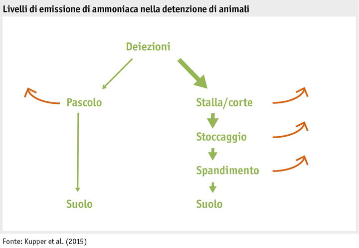 Zoom: emissionsstufen_ammoniak_i.jpg