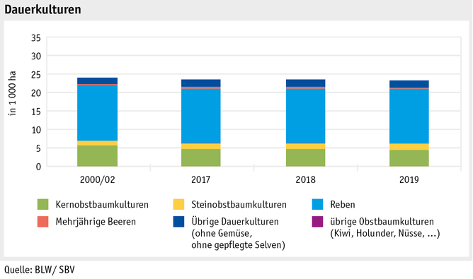 Zoom: ab20_produktion_pflanzli_produktion_grafik_flaechennutzung_dauerkulturen_d.png