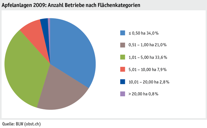 Zoom: ab20_produktion_pflanzli_produktion_grafik_apfelanlagen_betriebe_flaechenkat_2009_d.png