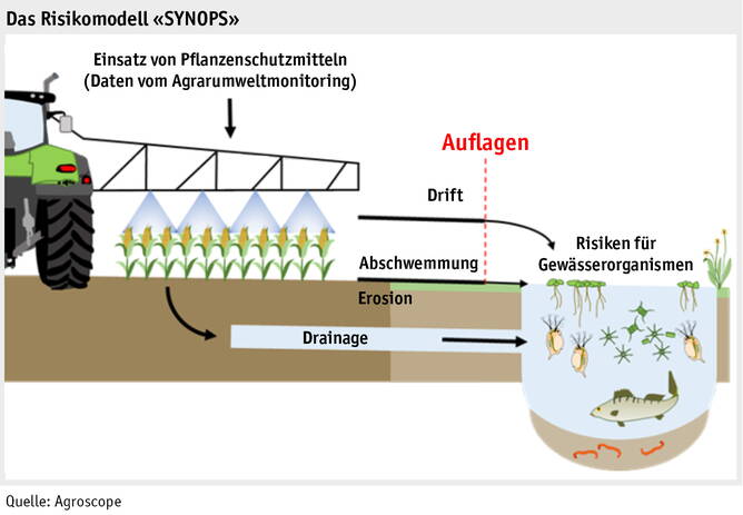 Zoom: synops_d.jpg
