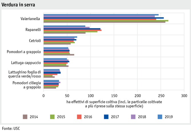 Zoom: ab20_produktion_pflanzli_produktion_grafik_gewaechshausgemueseanbau_nach_flache_i.png