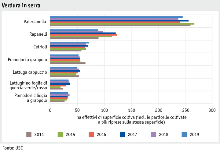 Zoom: ab20_produktion_pflanzli_produktion_grafik_gewaechshausgemueseanbau_nach_flache_i.png