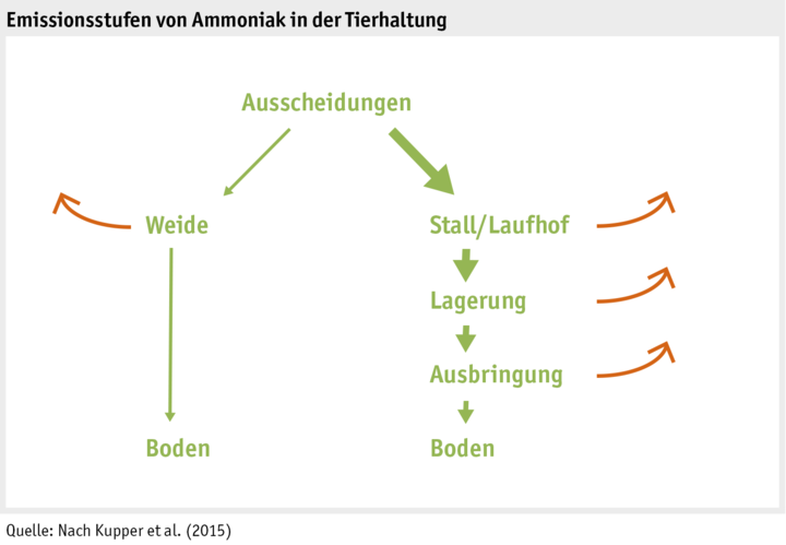 Zoom: emissionsstufen_ammoniak_d.png