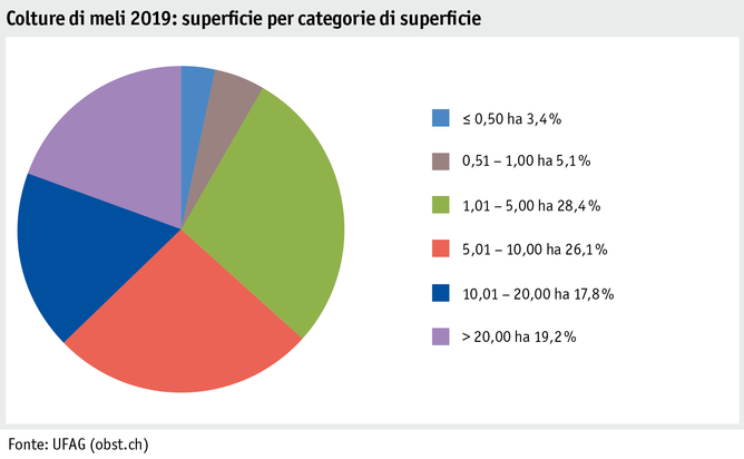 Zoom: ab20_produktion_pflanzli_produktion_grafik_obstanlagen_flaeche_flaechenkat_2019_i.png