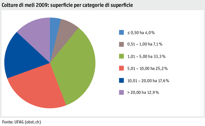 Zoom: ab20_produktion_pflanzli_produktion_grafik_obstanlagen_flaeche_flaechenkat_2009_i.png