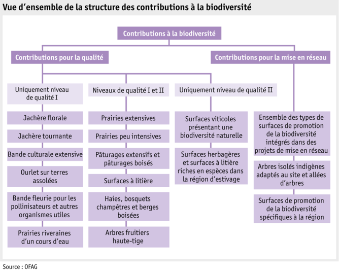 Zoom: ab20_politik_direktzahlungen_grafik_biodiversitaetsbeitraege_f.png