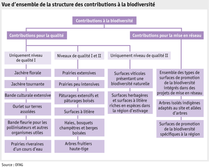Zoom: ab20_politik_direktzahlungen_grafik_biodiversitaetsbeitraege_f.png